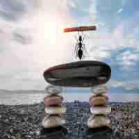 语‍意​搜﻿索﻿